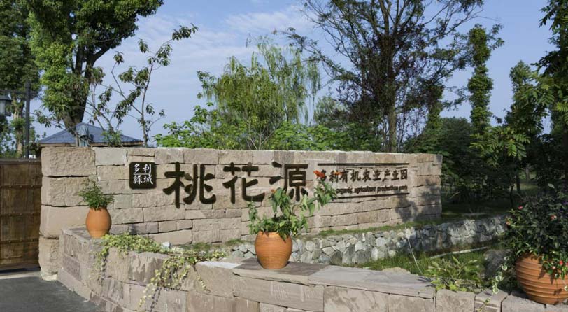 田園綜合體